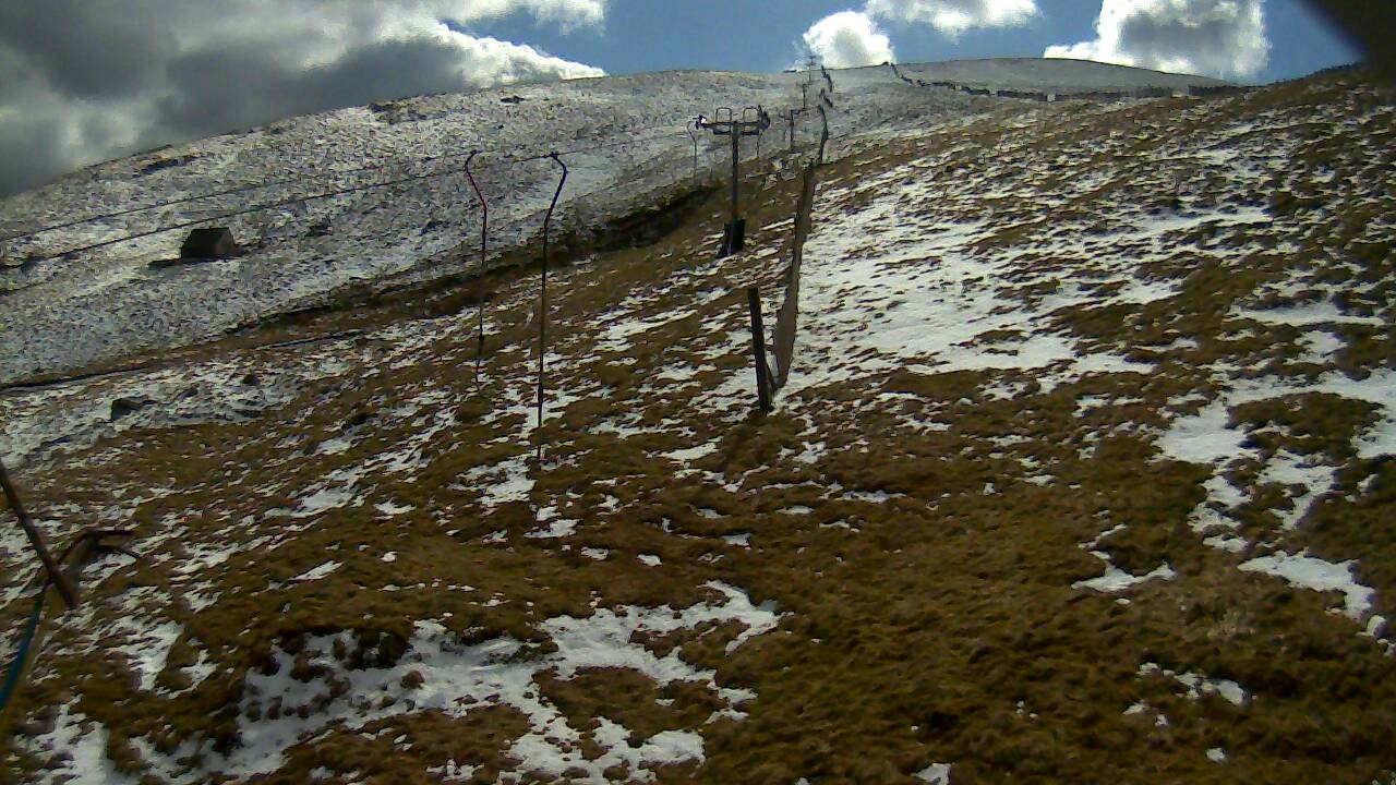 Image from 2022/04/02 for Tow Hut