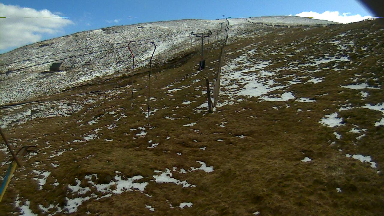 Image from 2022/04/02 for Tow Hut