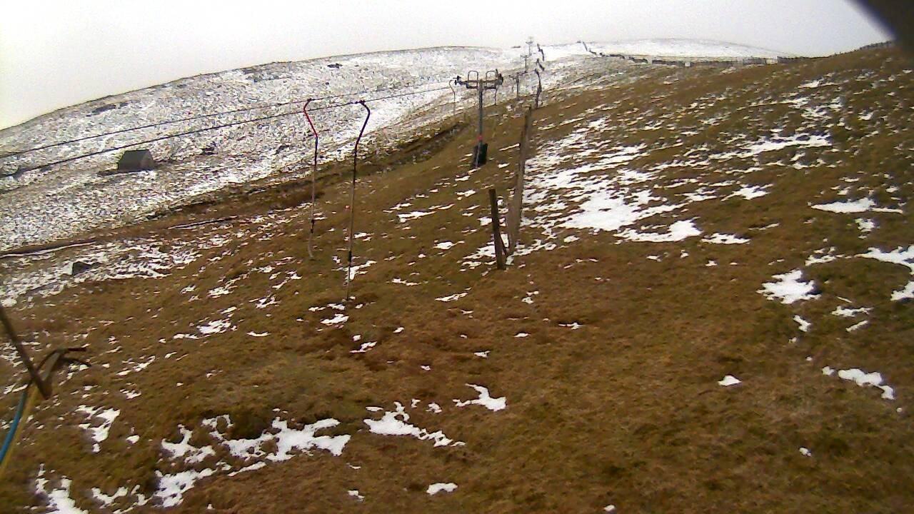 Image from 2022/04/03 for Tow Hut