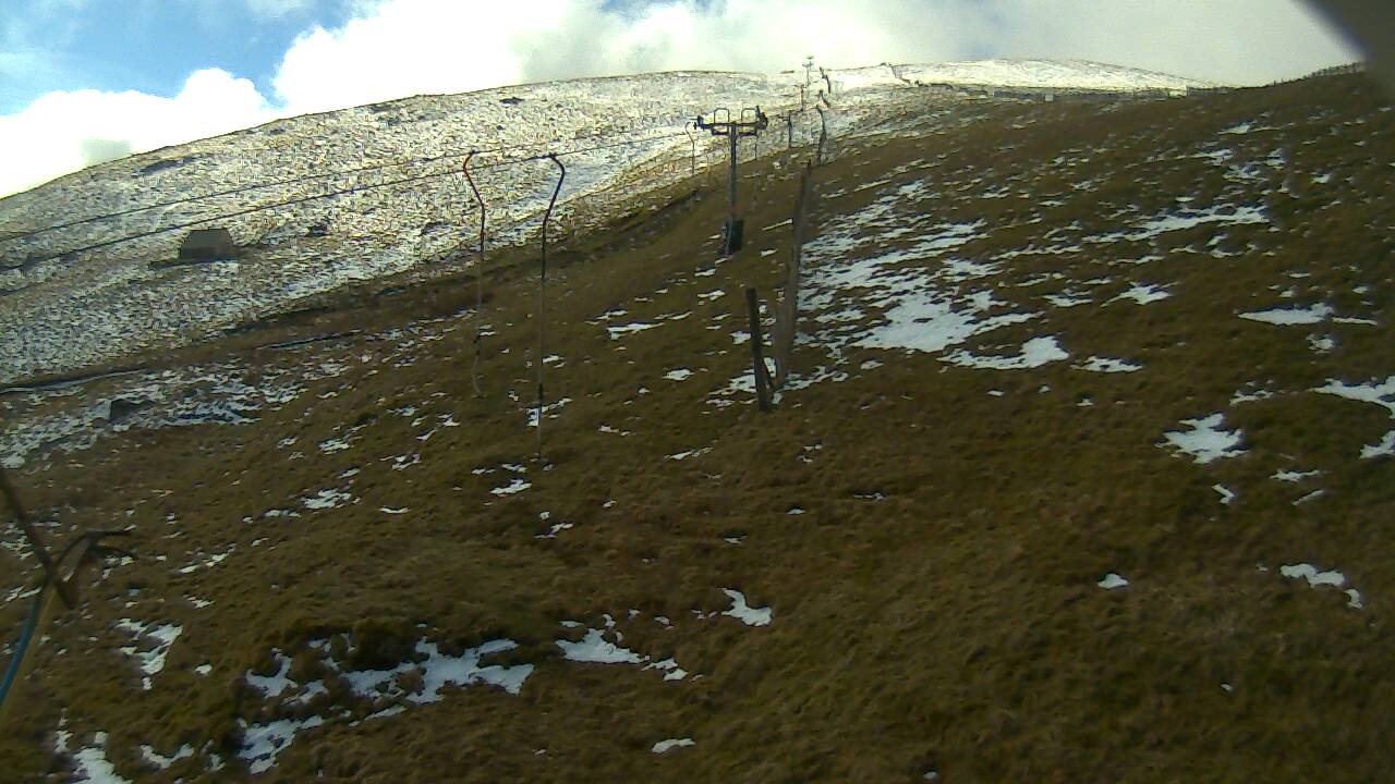 Image from 2022/04/03 for Tow Hut