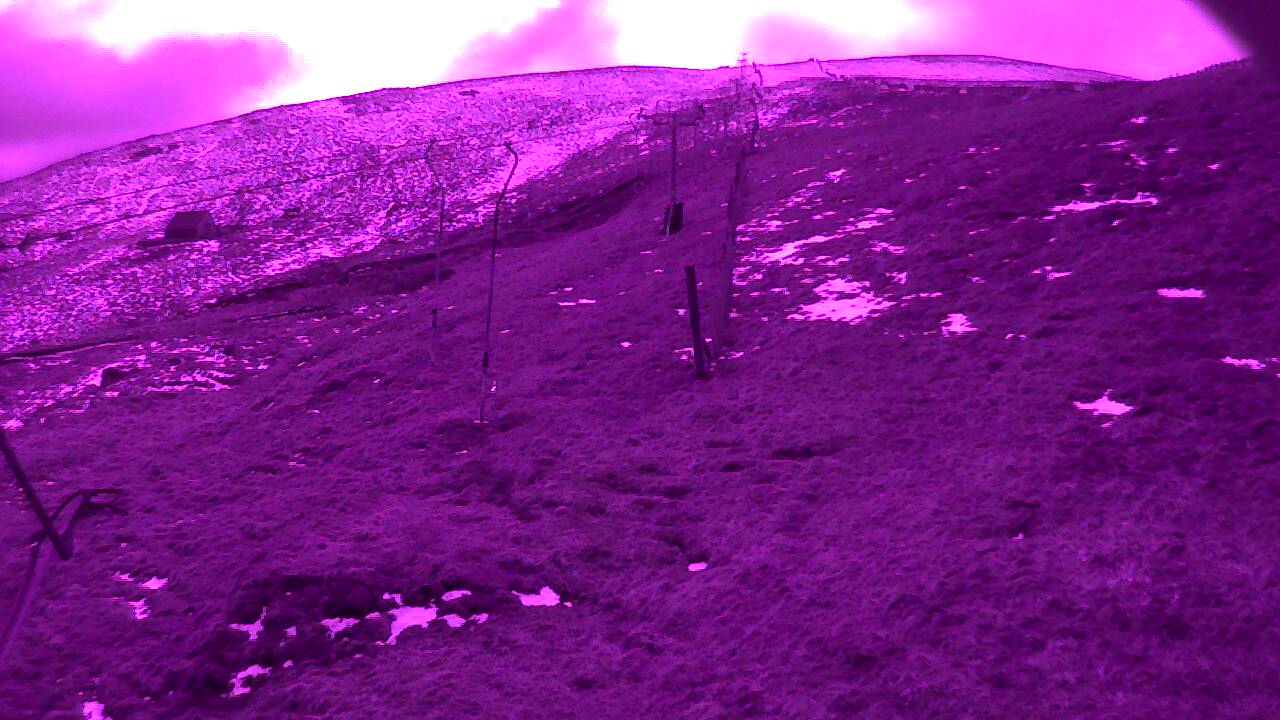 Image from 2022/04/03 for Tow Hut