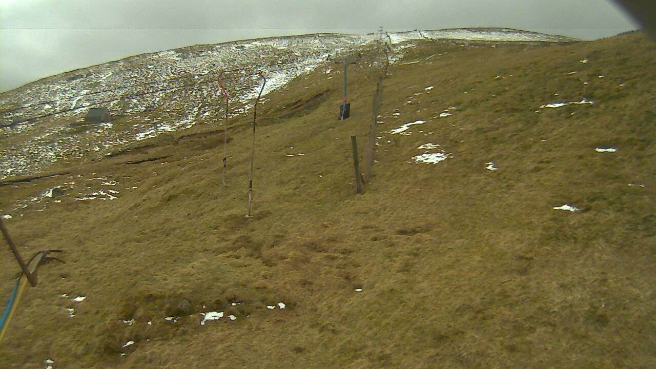 Image from 2022/04/03 for Tow Hut