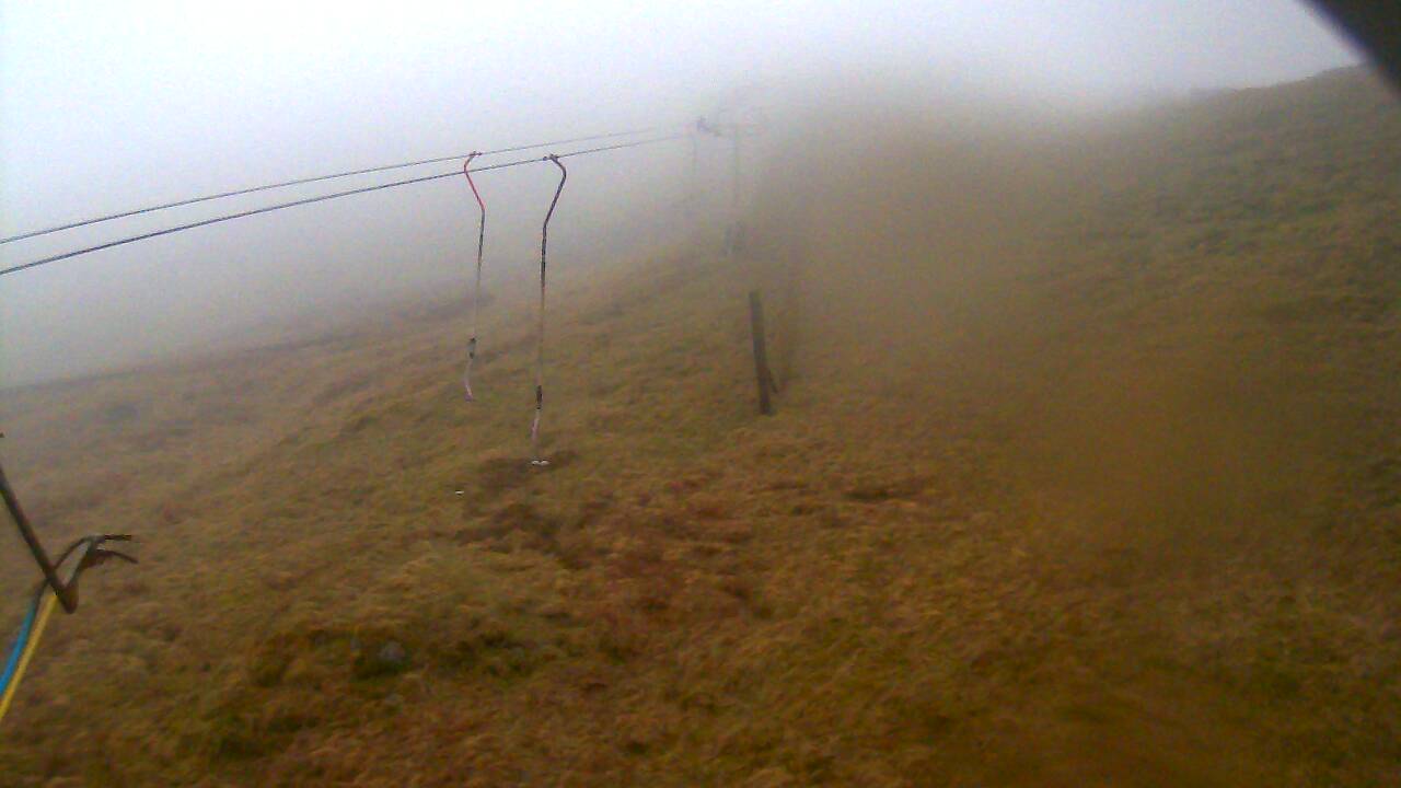 Image from 2022/04/05 for Tow Hut