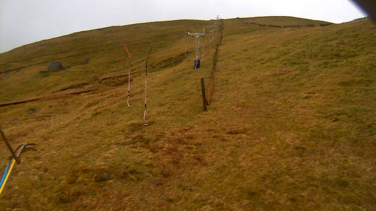 Image from 2022/04/06 for Tow Hut