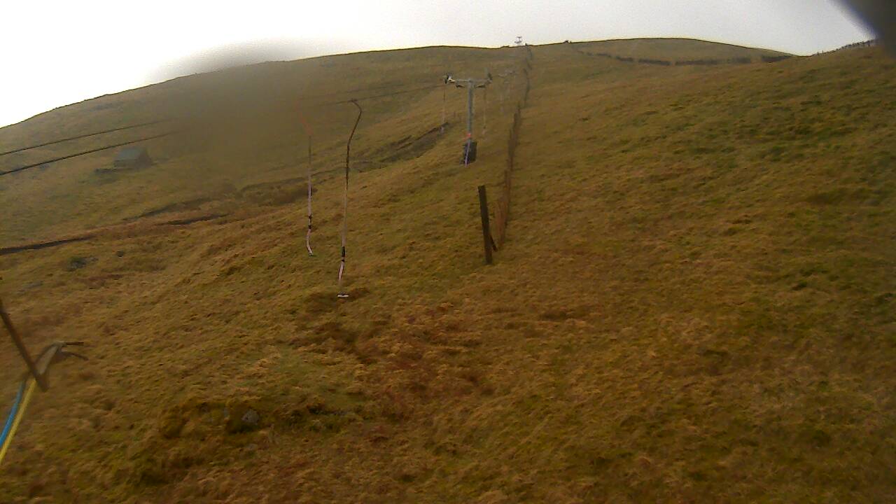 Image from 2022/04/06 for Tow Hut