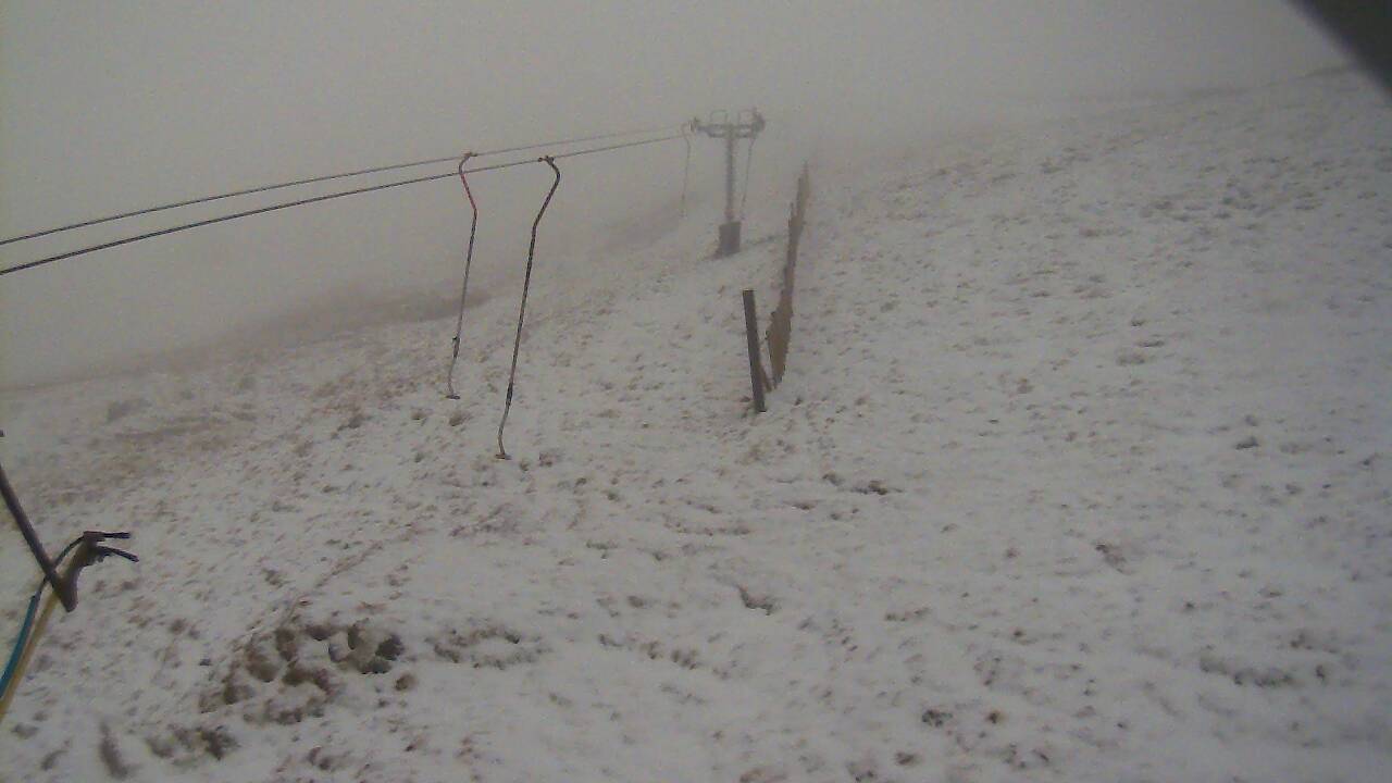 Image from 2022/04/07 for Tow Hut