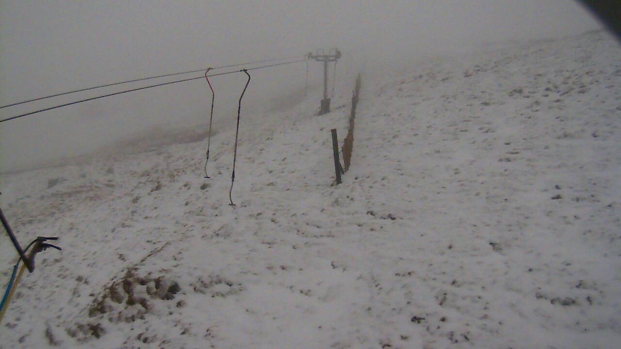 Image from 2022/04/07 for Tow Hut