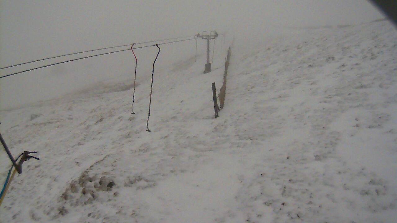 Image from 2022/04/07 for Tow Hut