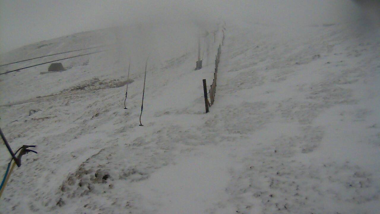 Image from 2022/04/07 for Tow Hut