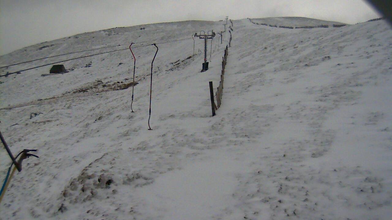 Image from 2022/04/07 for Tow Hut