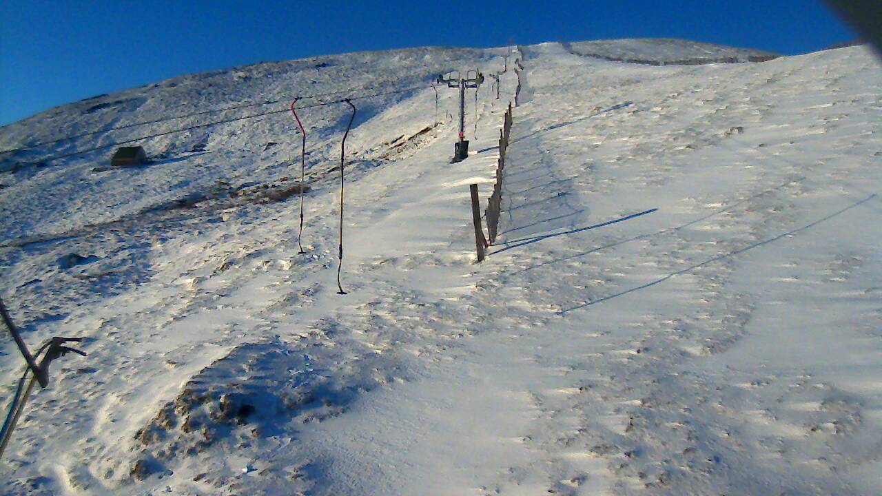 Image from 2022/04/08 for Tow Hut