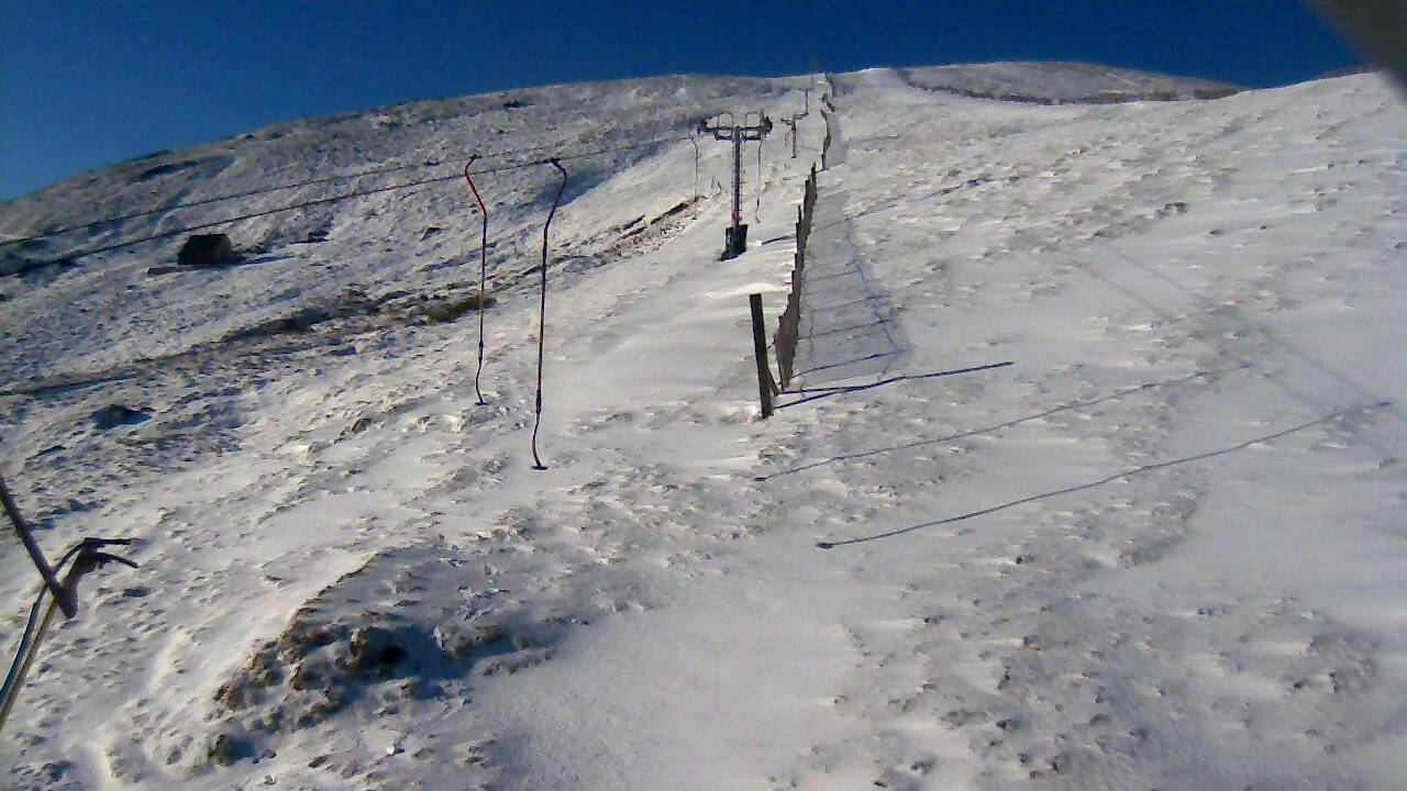 Image from 2022/04/08 for Tow Hut