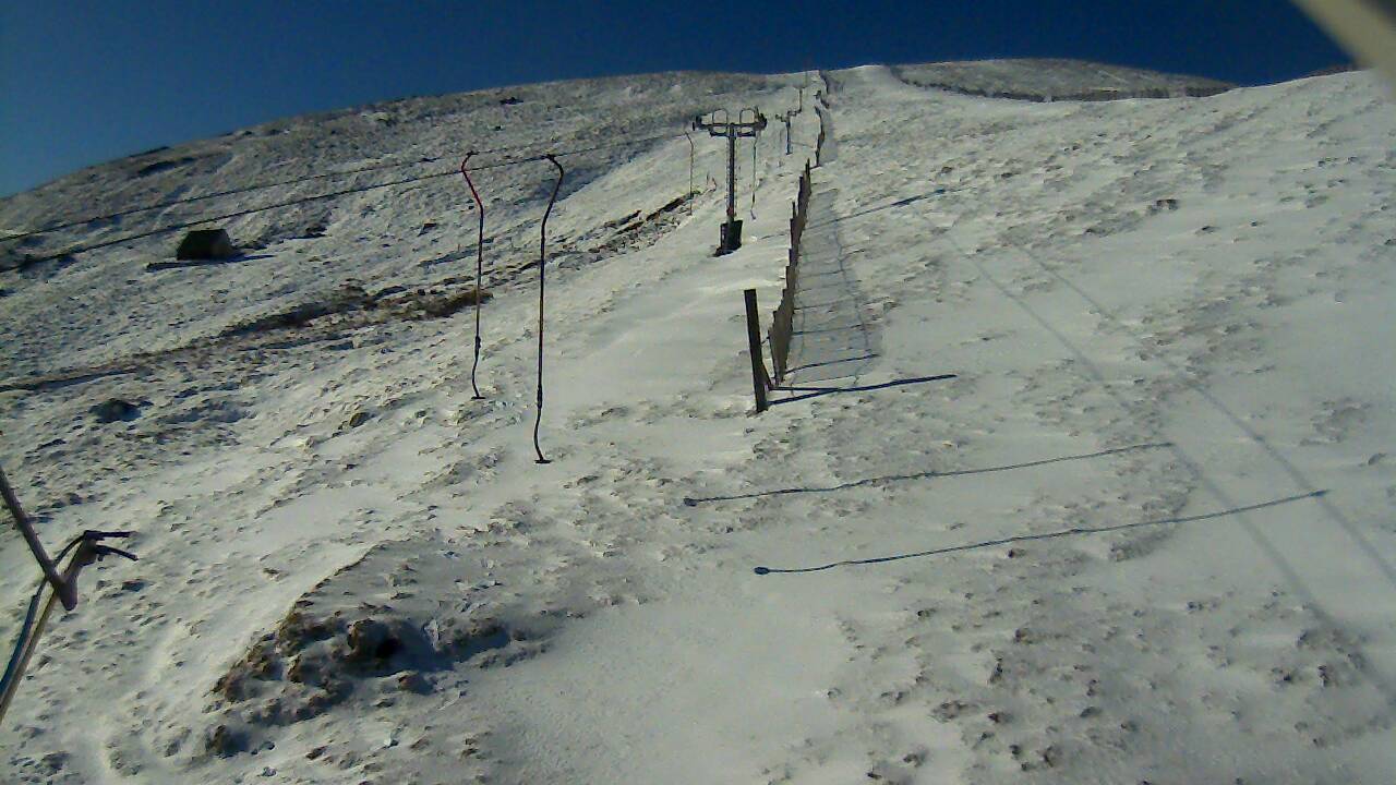 Image from 2022/04/08 for Tow Hut