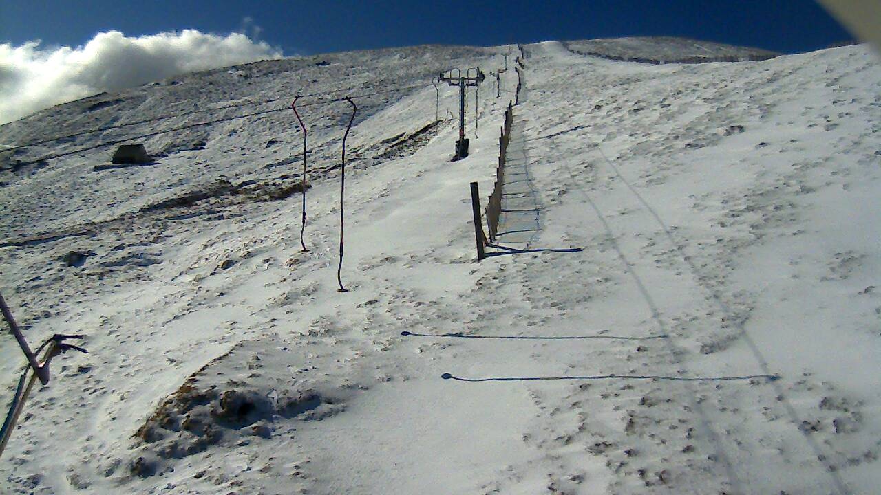 Image from 2022/04/08 for Tow Hut