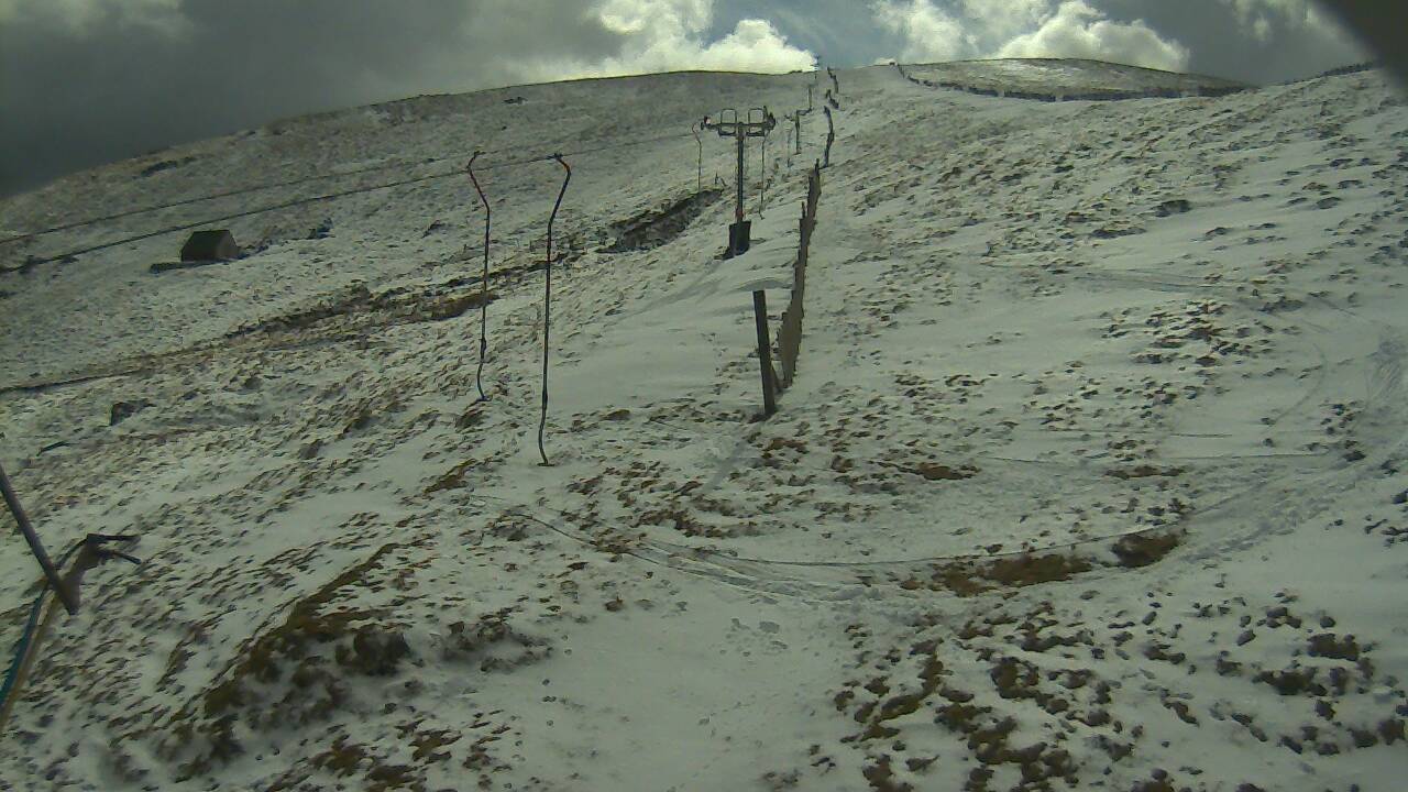 Image from 2022/04/08 for Tow Hut