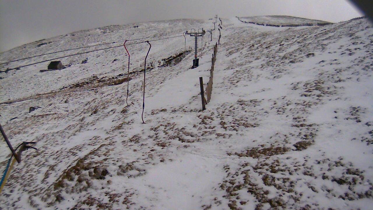 Image from 2022/04/08 for Tow Hut