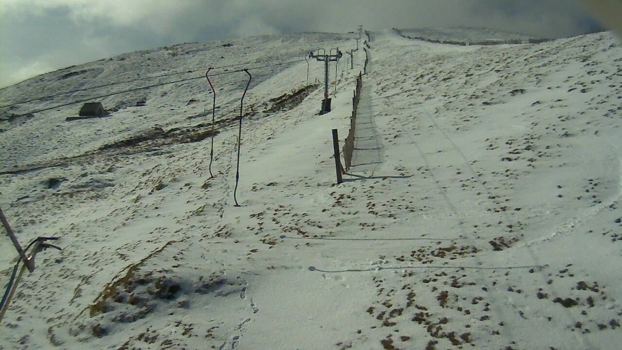 Image from 2022/04/09 for Tow Hut