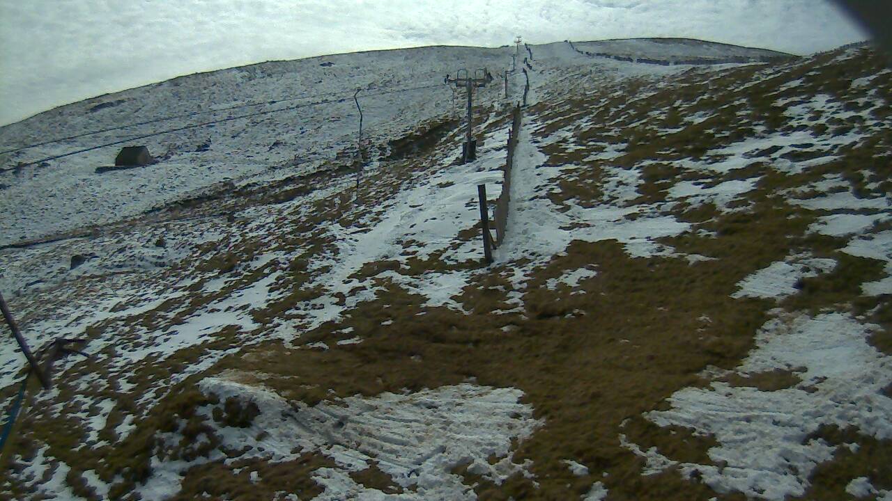 Image from 2022/04/10 for Tow Hut