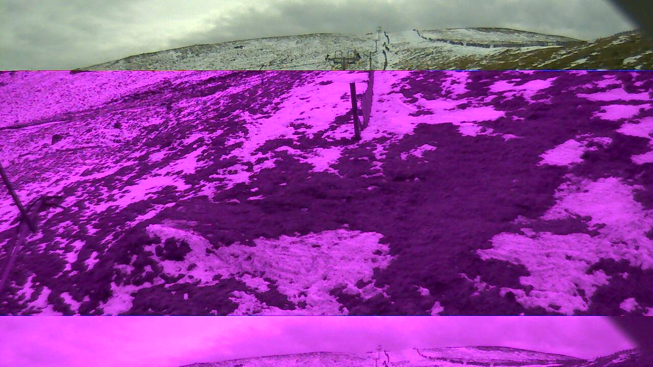 Image from 2022/04/10 for Tow Hut