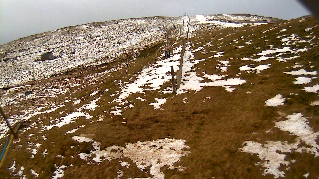 Image from 2022/04/11 for Tow Hut