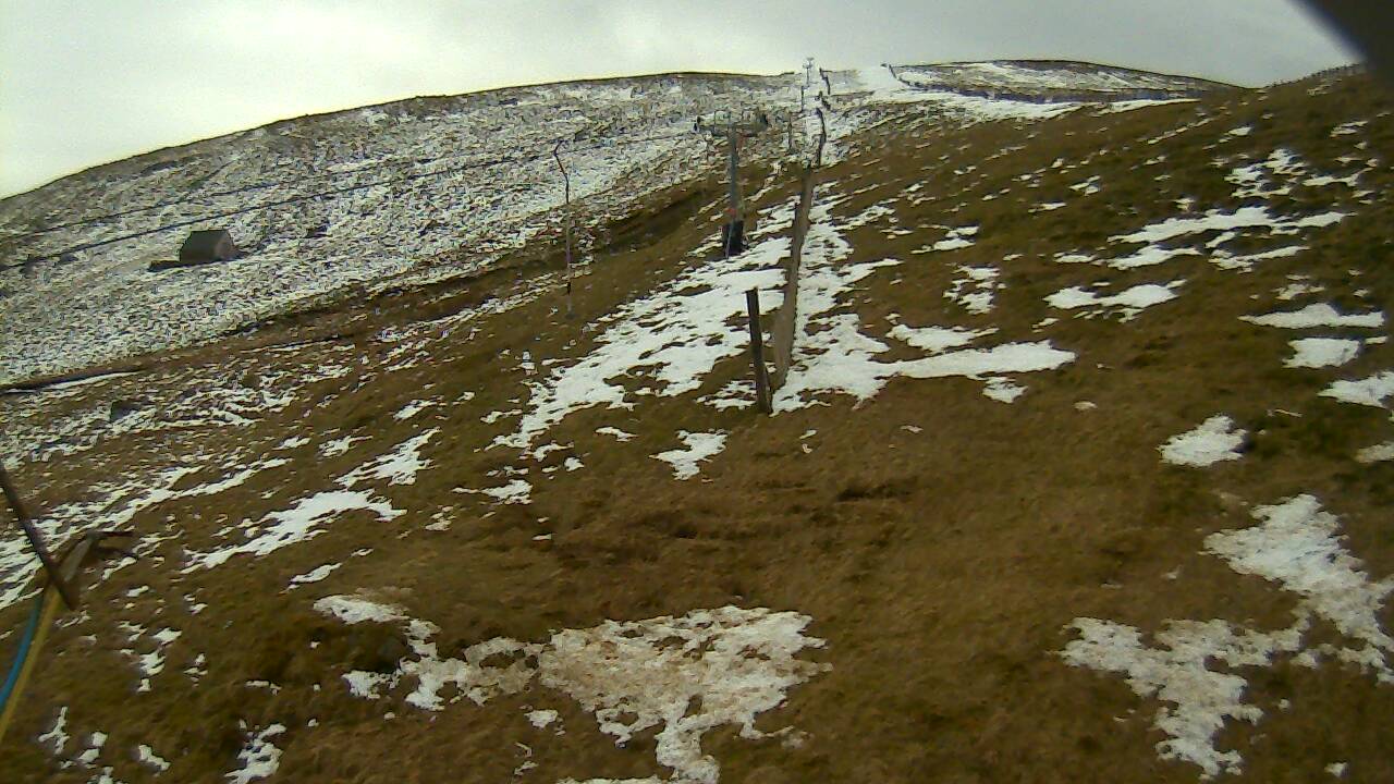 Image from 2022/04/11 for Tow Hut