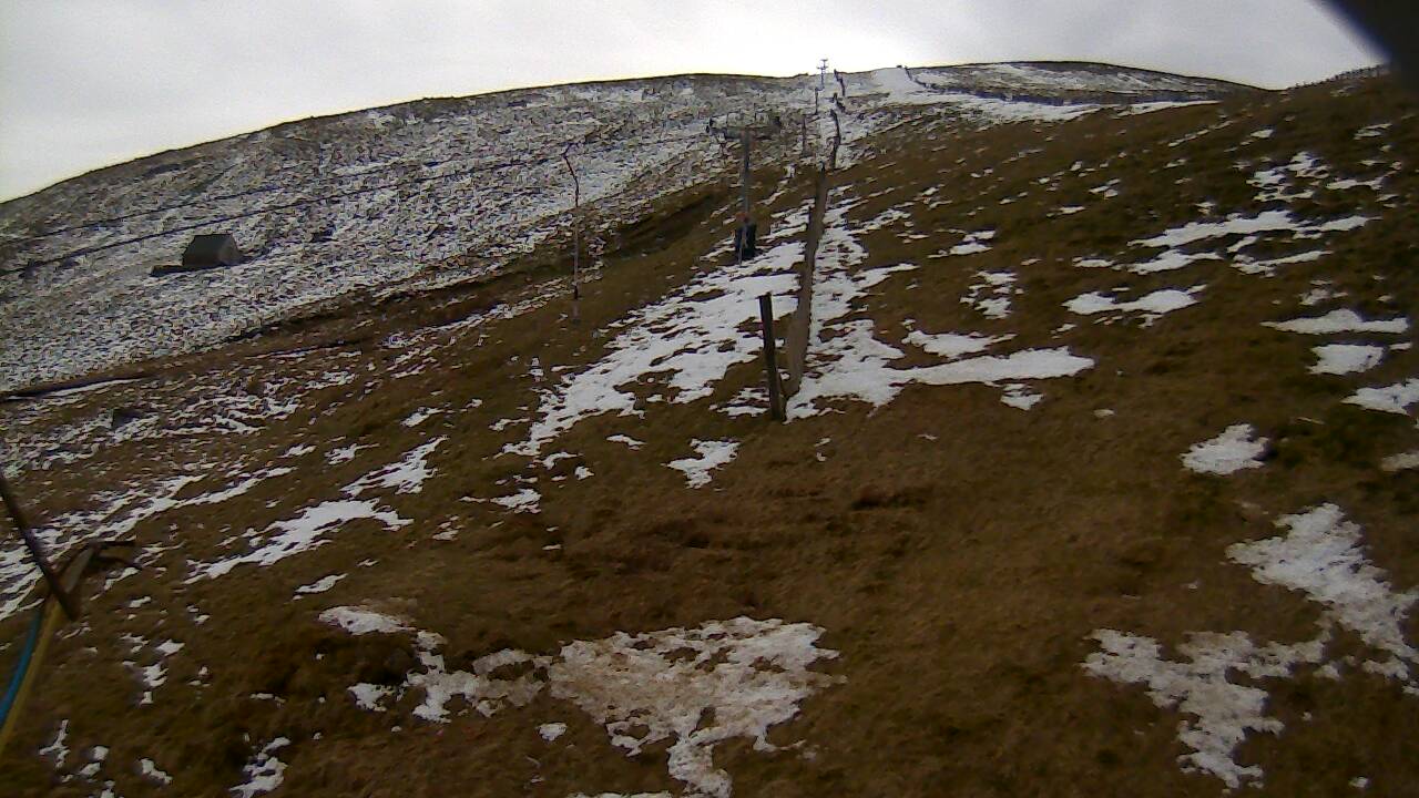 Image from 2022/04/11 for Tow Hut