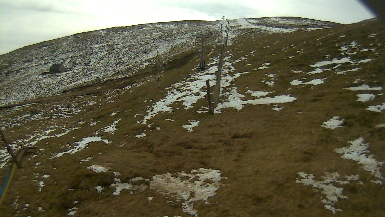 Image from 2022/04/11 for Tow Hut