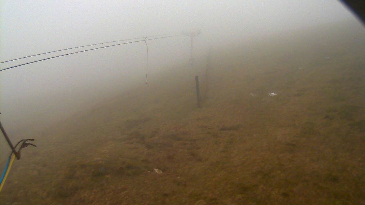 Image from 2022/04/12 for Tow Hut