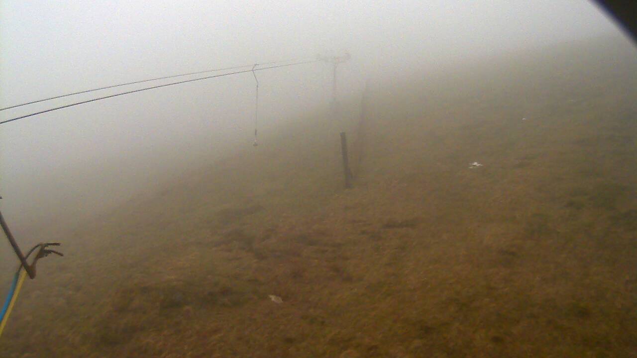 Image from 2022/04/12 for Tow Hut