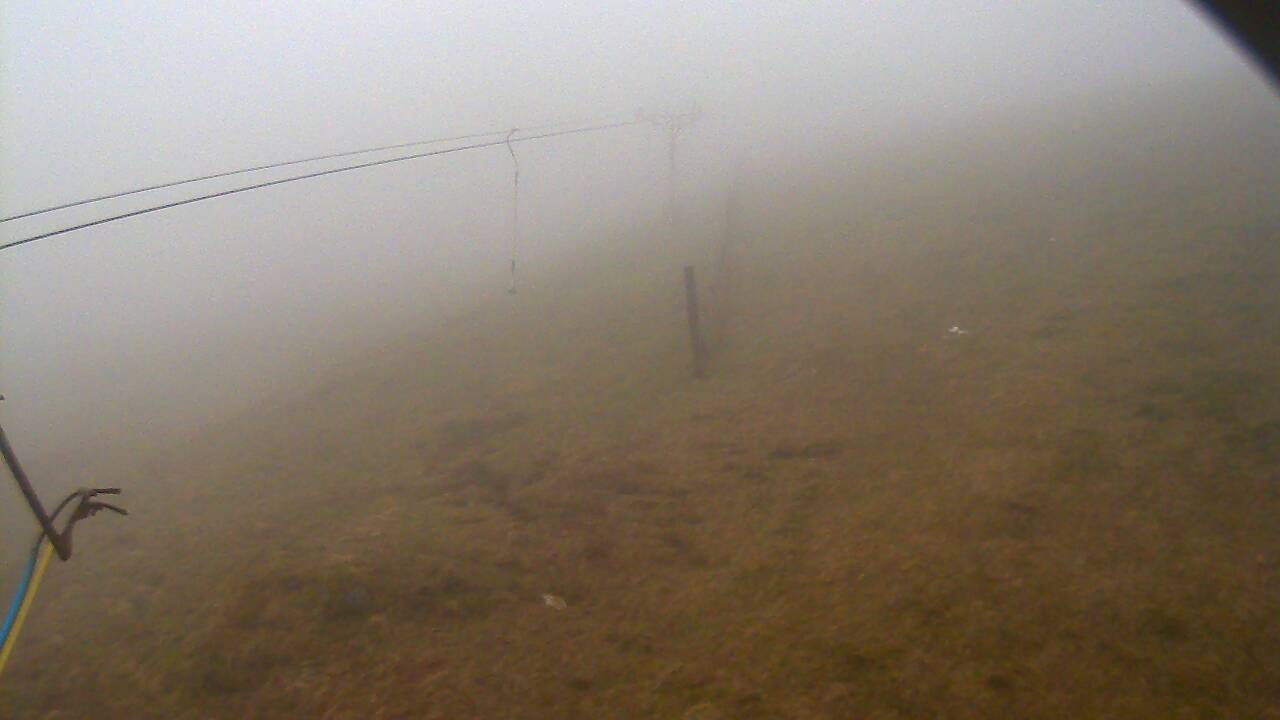 Image from 2022/04/12 for Tow Hut