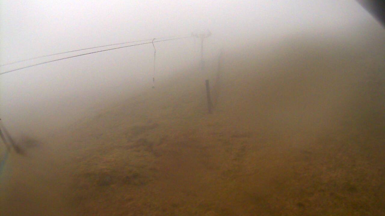 Image from 2022/04/13 for Tow Hut