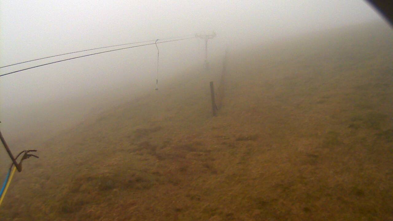 Image from 2022/04/13 for Tow Hut