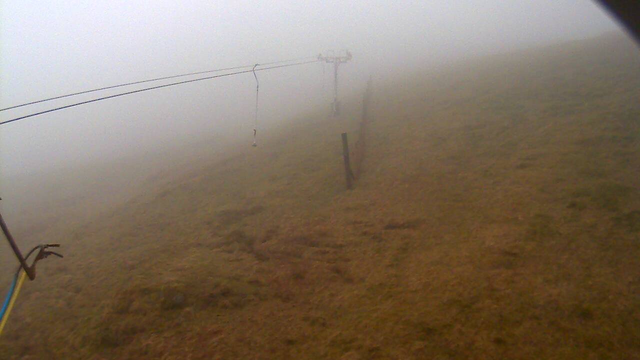 Image from 2022/04/13 for Tow Hut