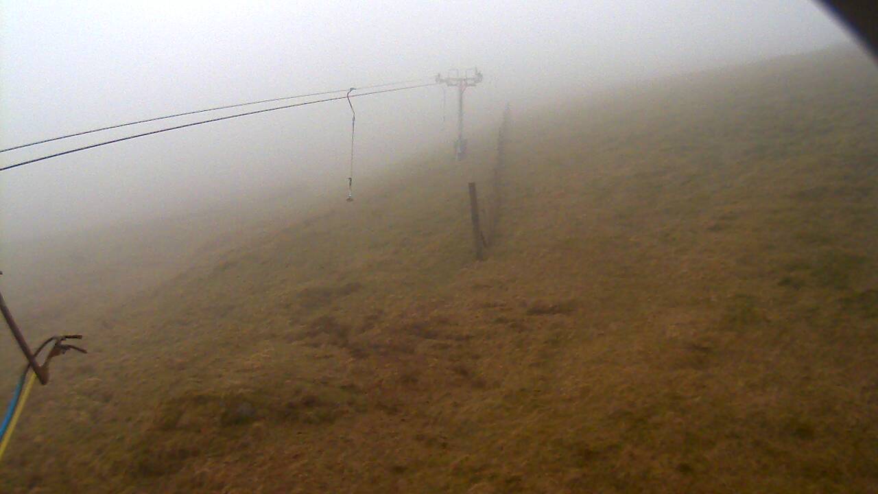 Image from 2022/04/13 for Tow Hut