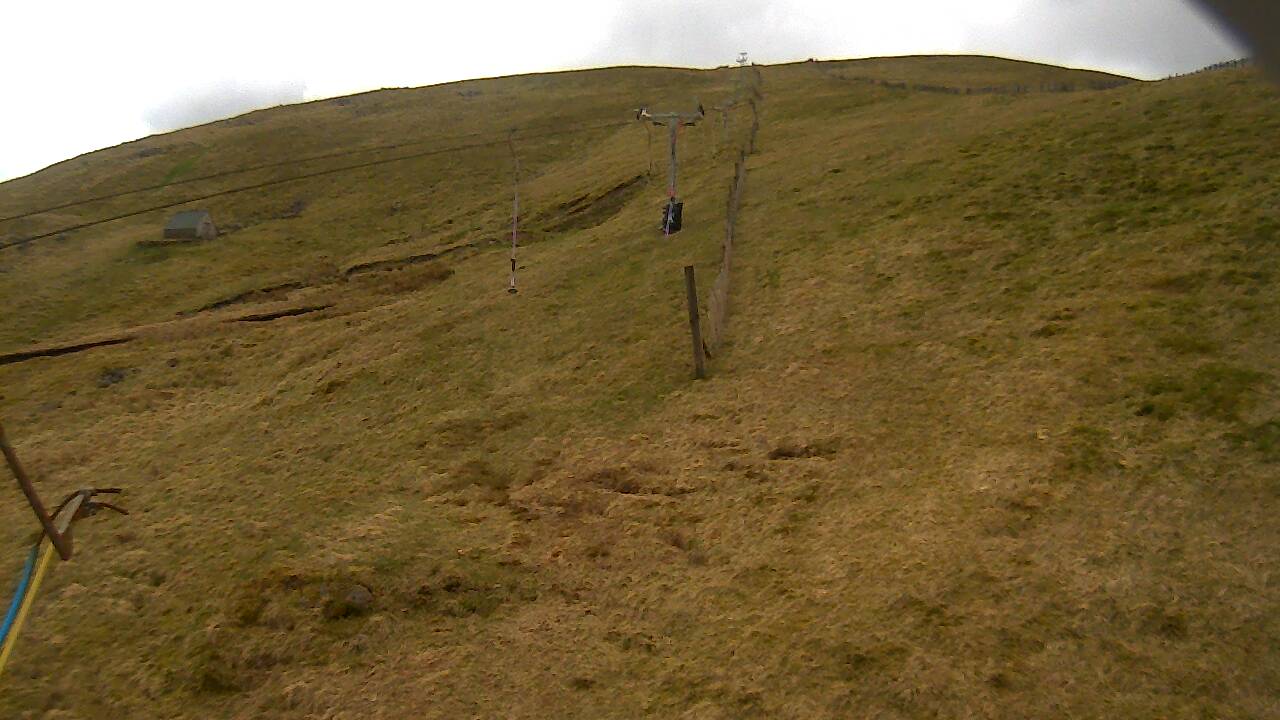 Image from 2022/04/19 for Tow Hut