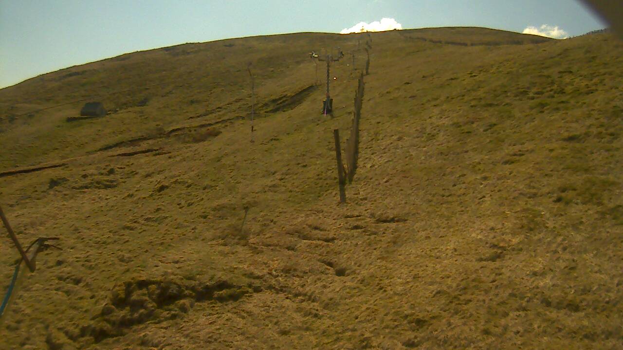 Image from 2022/04/20 for Tow Hut