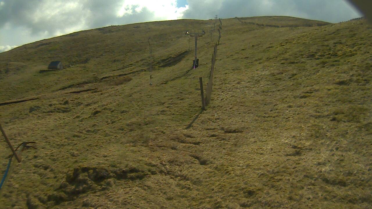 Image from 2022/04/20 for Tow Hut