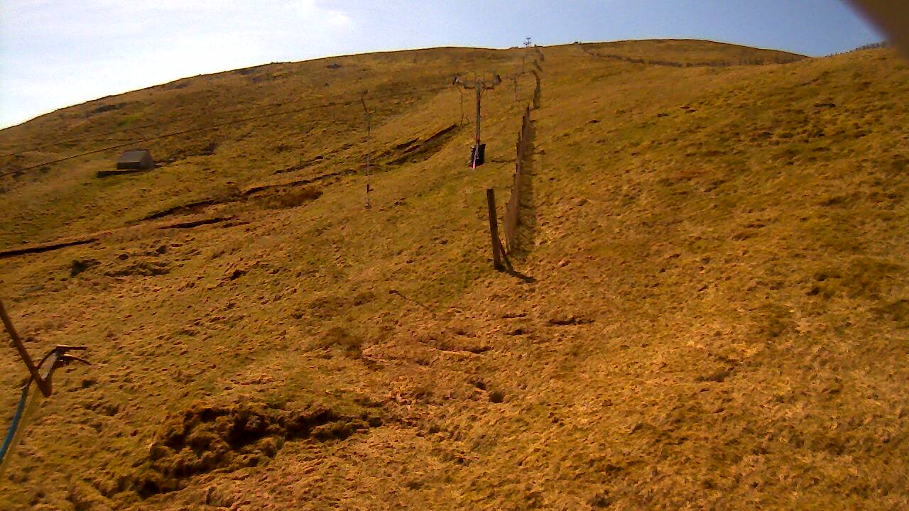 Image from 2022/04/21 for Tow Hut