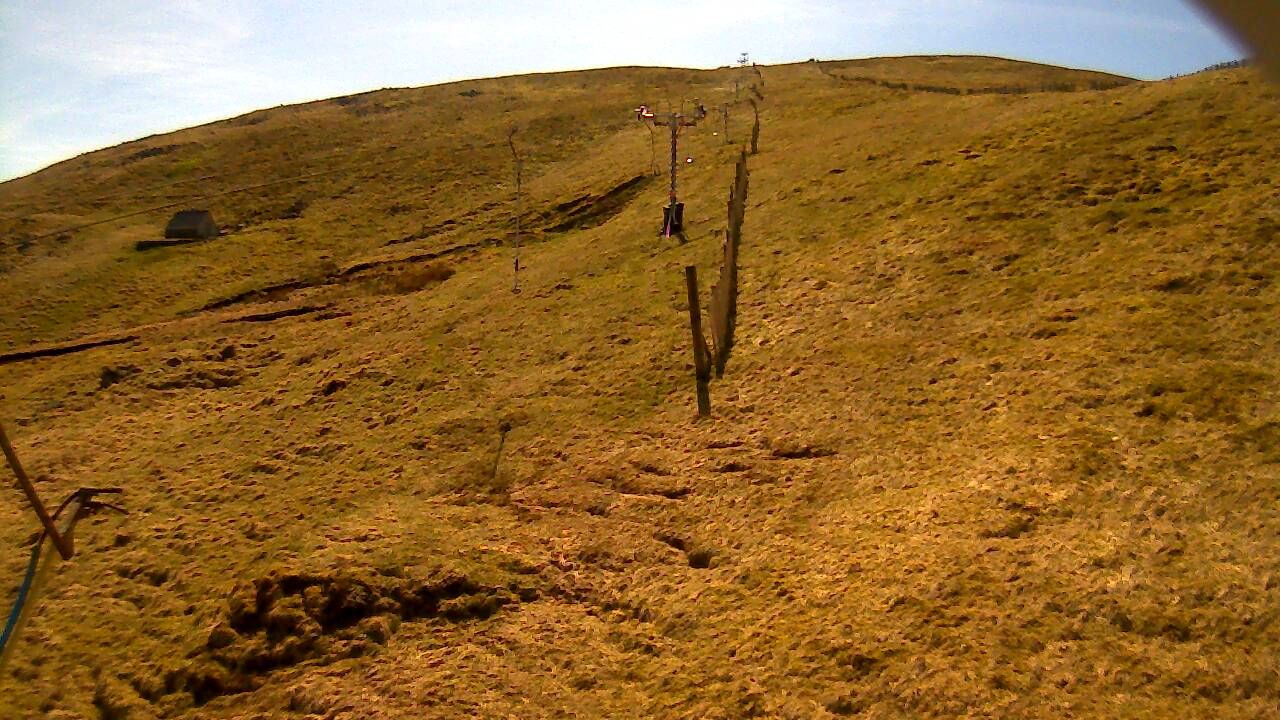 Image from 2022/04/21 for Tow Hut