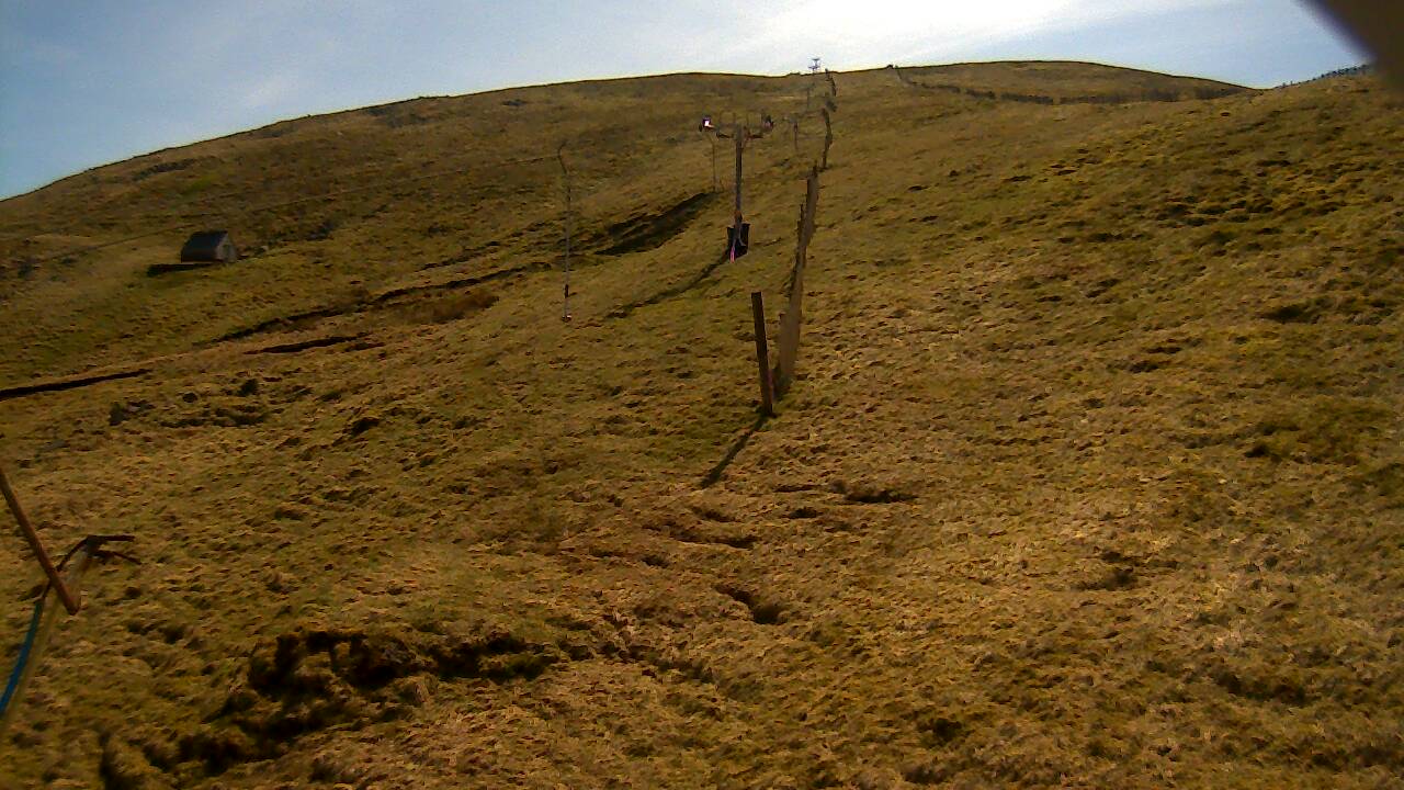 Image from 2022/04/21 for Tow Hut