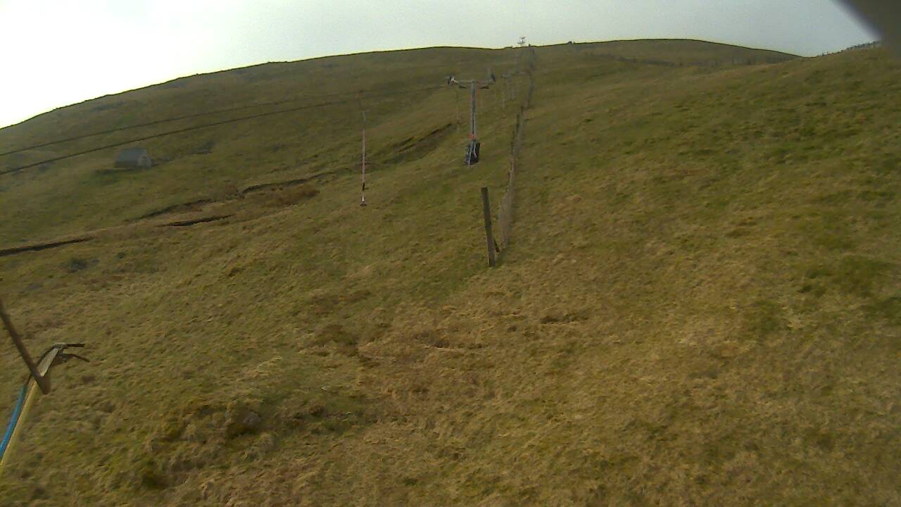 Image from 2022/04/22 for Tow Hut