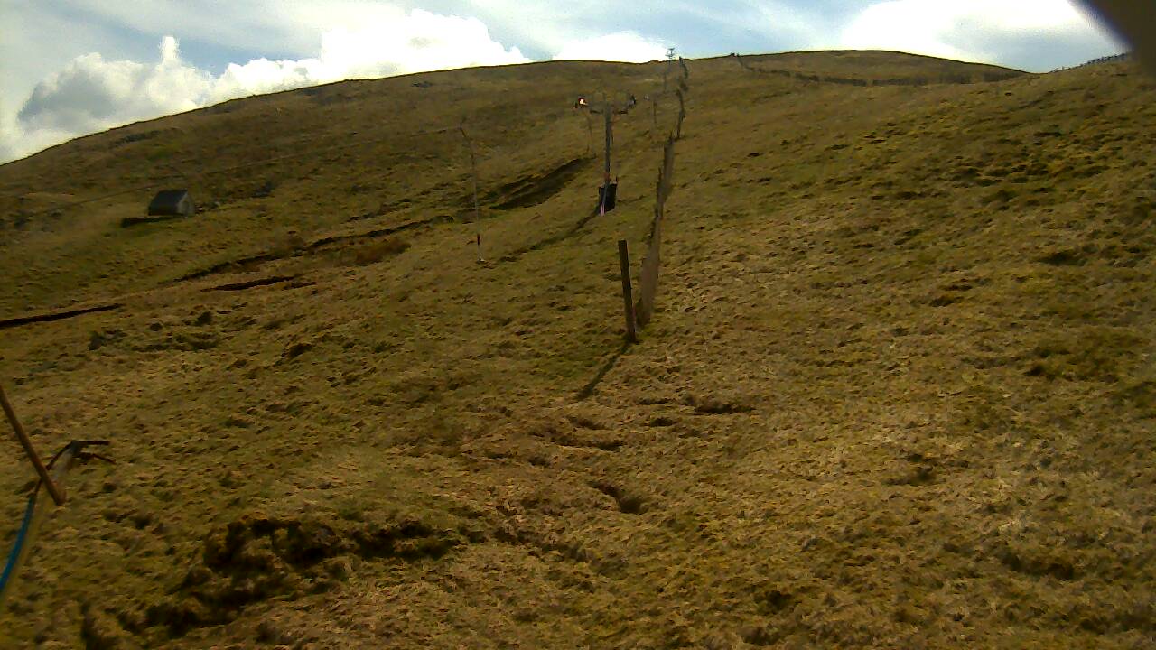 Image from 2022/04/22 for Tow Hut