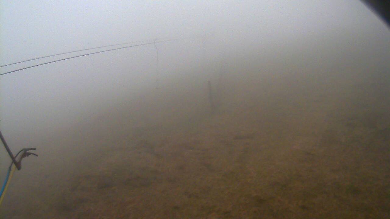 Image from 2022/04/23 for Tow Hut