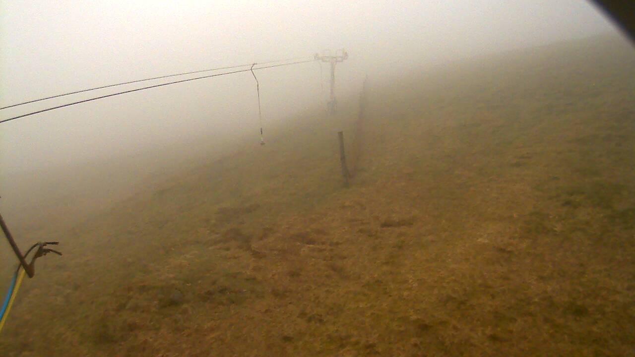 Image from 2022/04/23 for Tow Hut