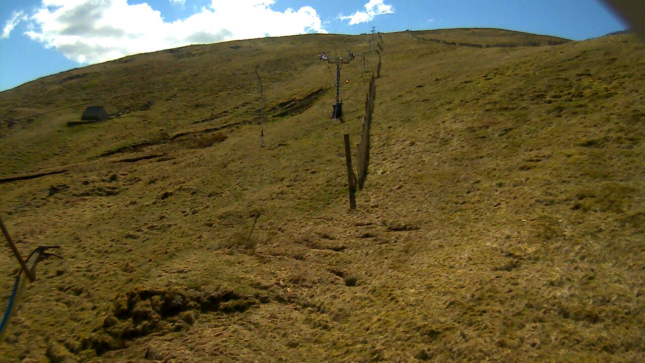 Image from 2022/04/23 for Tow Hut