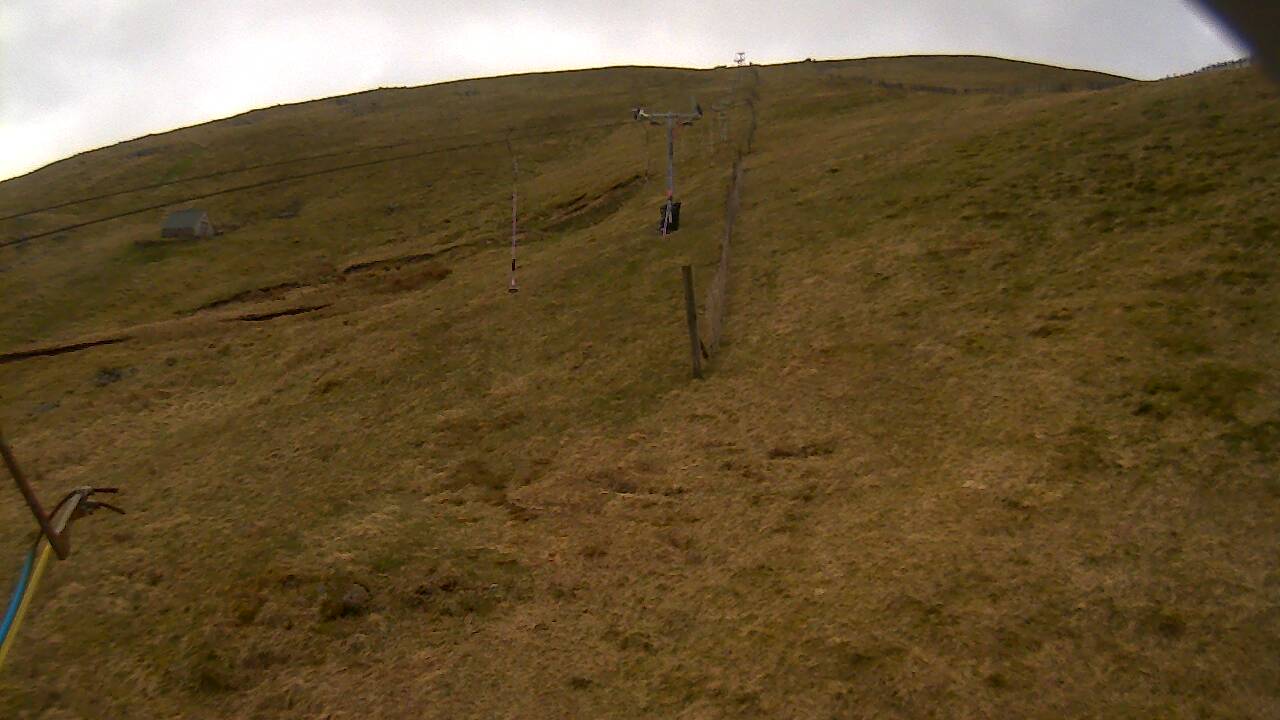 Image from 2022/04/25 for Tow Hut