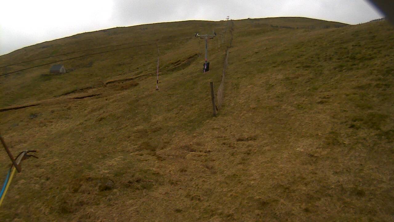 Image from 2022/04/25 for Tow Hut