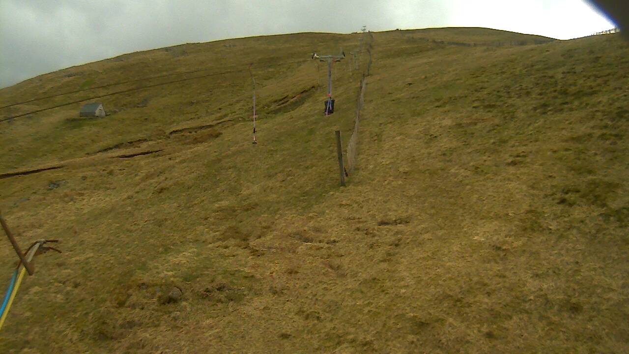 Image from 2022/04/25 for Tow Hut