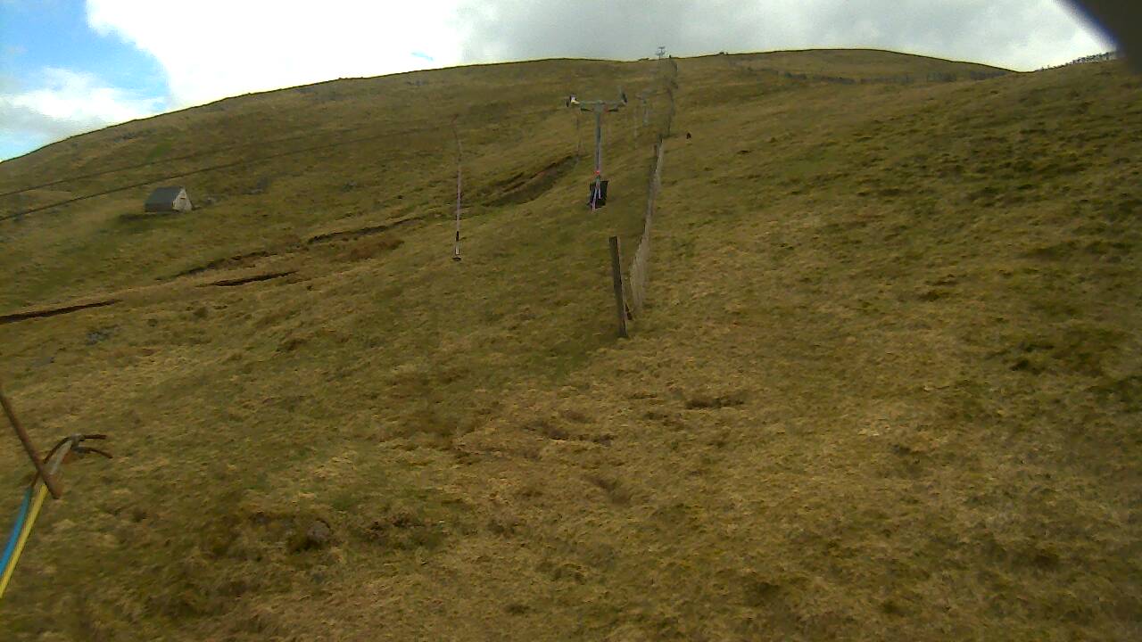 Image from 2022/04/25 for Tow Hut