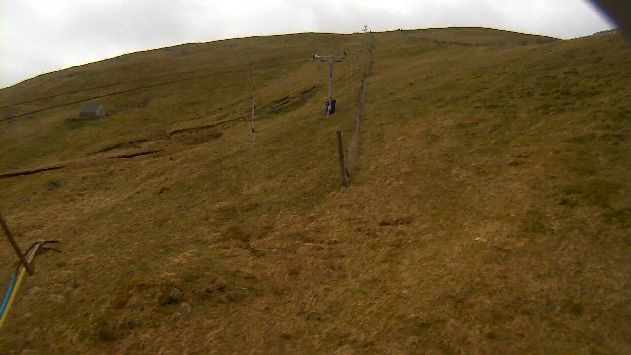 Image from 2022/04/27 for Tow Hut